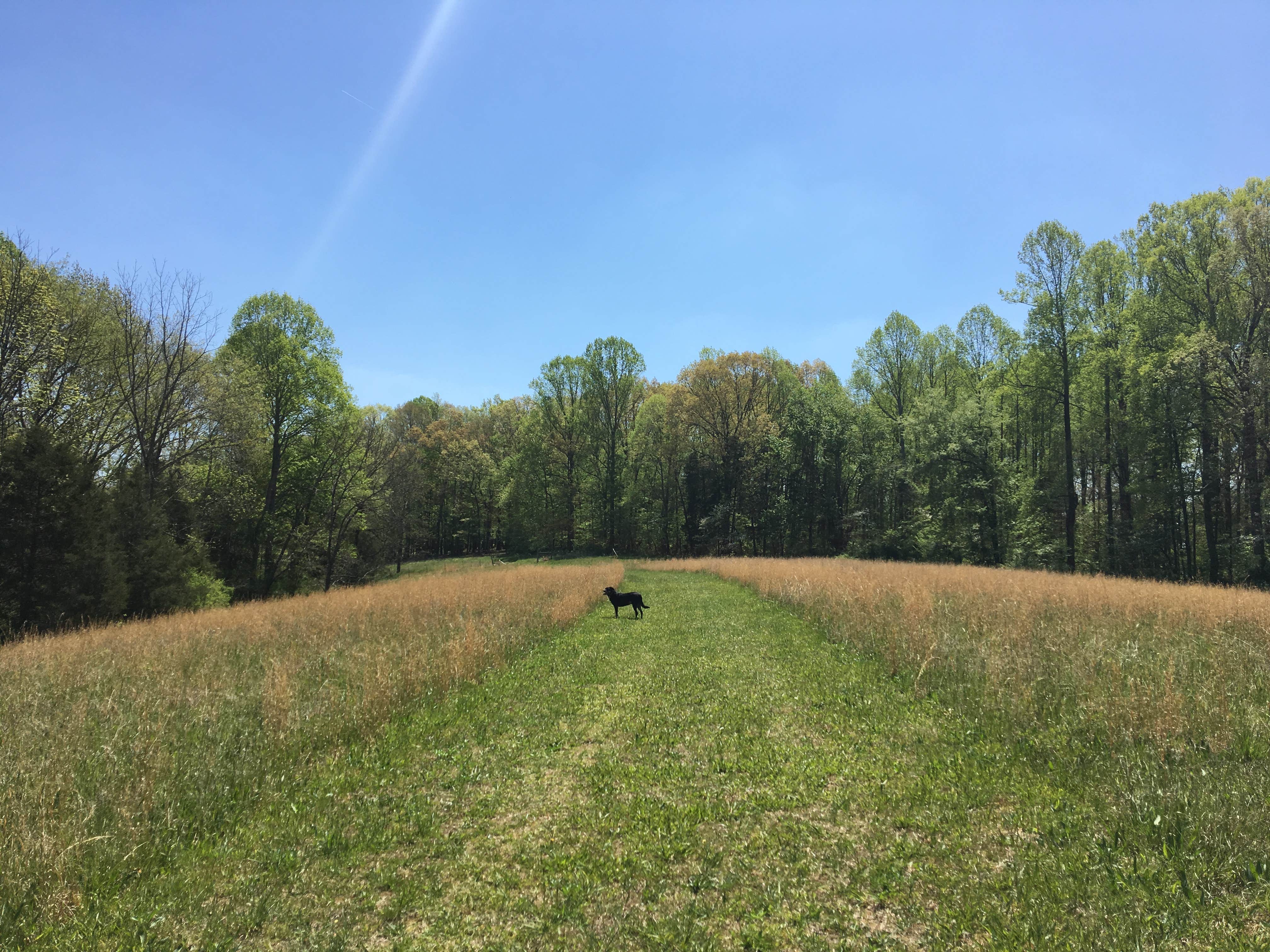 Camper submitted image from Belle and Beau Acres - 5