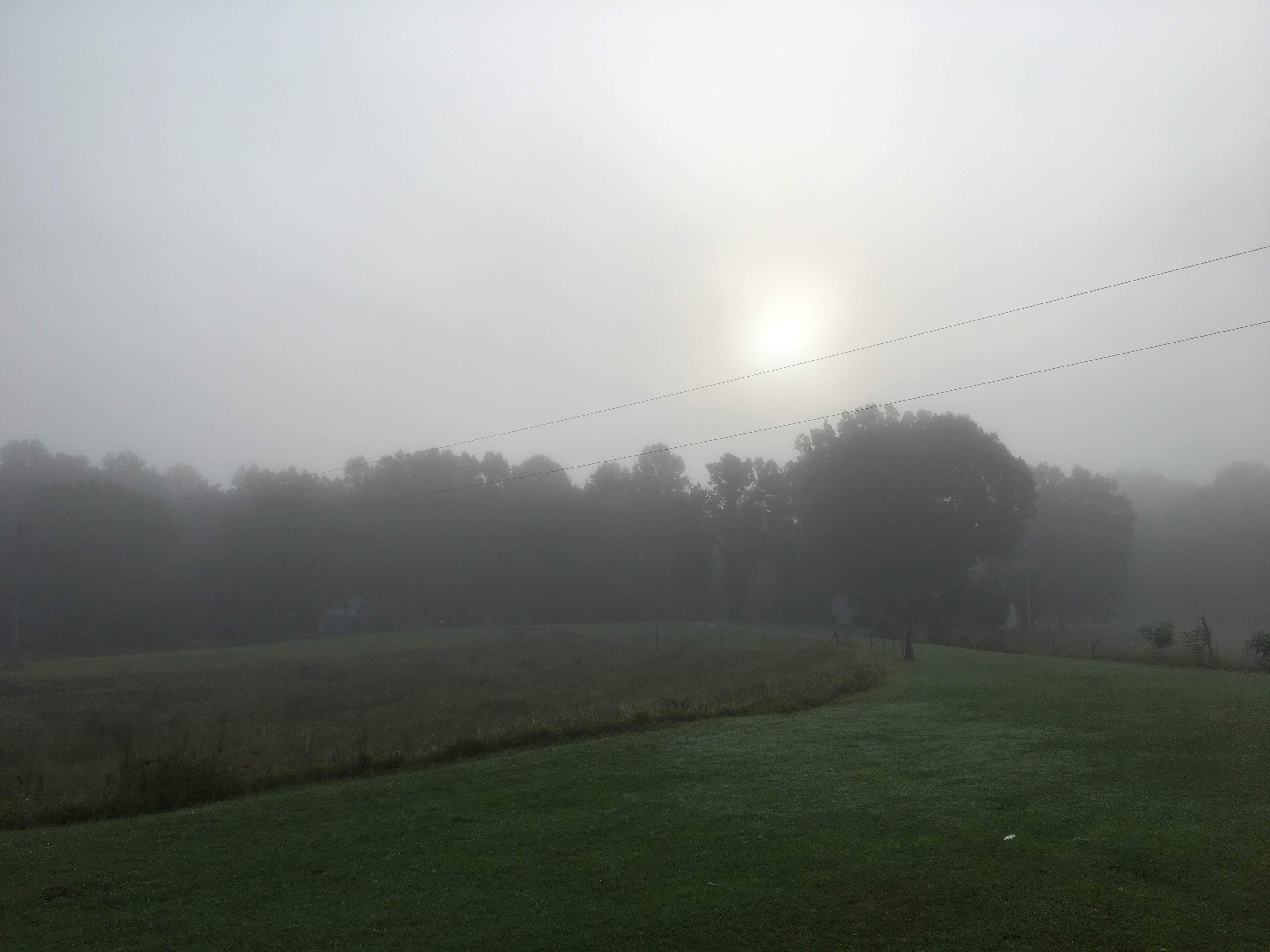 Camper-submitted photo at Belle and Beau Acres near Cookeville, TN