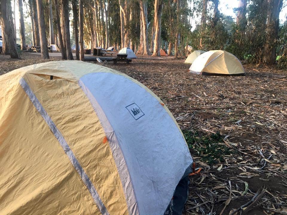 Hayley K.'s photo at Morro Bay State Park Campground near Templeton, CA