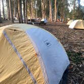 Review photo of Morro Bay State Park Campground by Hayley K., June 6, 2019