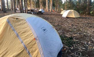 Hayley K.'s photo at Morro Bay State Park Campground near Atascadero, CA