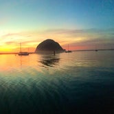 Review photo of Morro Bay State Park Campground by Hayley K., June 6, 2019