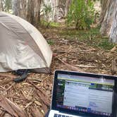 Review photo of Morro Bay State Park Campground by Hayley K., June 6, 2019
