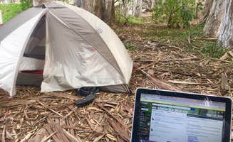 Hayley K.'s photo at Morro Bay State Park Campground near San Simeon, CA