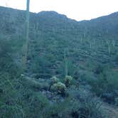 Review photo of McDowell Mountain Regional Park by Ethan K., August 31, 2016