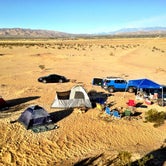 Review photo of Joshua Tree Lake Dispersed Camping by Hayley K., June 6, 2019