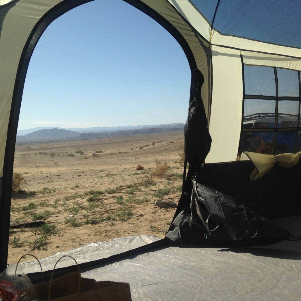 Camper submitted image from Joshua Tree Lake Dispersed Camping - 5