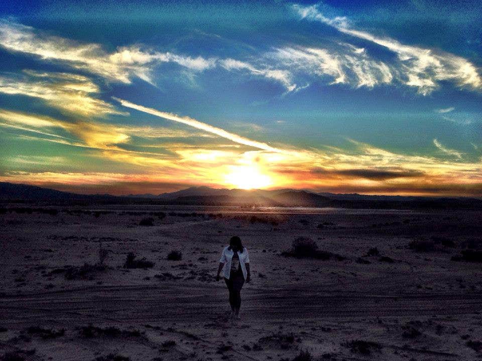 Camper submitted image from Joshua Tree Lake Dispersed Camping - 2