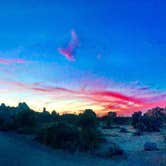 Review photo of Joshua Tree Lake Dispersed Camping by Hayley K., June 6, 2019