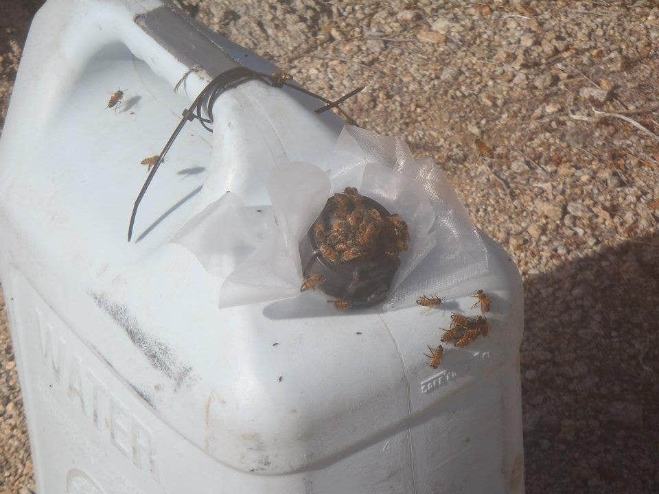 Camper-submitted photo at Geology Tour Road Dispersed Camping — Joshua Tree National Park near Twentynine Palms, CA