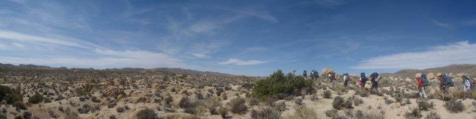 Camper-submitted photo at Geology Tour Road Dispersed Camping — Joshua Tree National Park near Twentynine Palms, CA