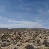 Review photo of Geology Tour Road Dispersed Camping — Joshua Tree National Park by Hayley K., June 6, 2019