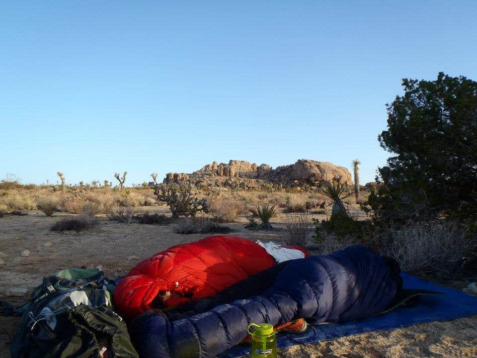 Camper-submitted photo at Geology Tour Road Dispersed Camping — Joshua Tree National Park near Twentynine Palms, CA