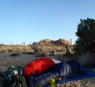 Camper-submitted photo from Geology Tour Road Dispersed Camping — Joshua Tree National Park