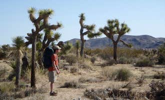 Camping near Ryan Campground — Joshua Tree National Park: Geology Tour Road Dispersed Camping — Joshua Tree National Park, Twentynine Palms, California
