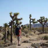 Review photo of Geology Tour Road Dispersed Camping — Joshua Tree National Park by Hayley K., June 6, 2019