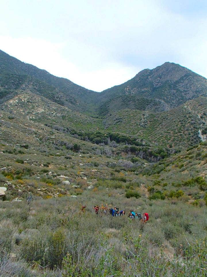 Camper-submitted photo at South Rincon Trail near Sequoia National Forest