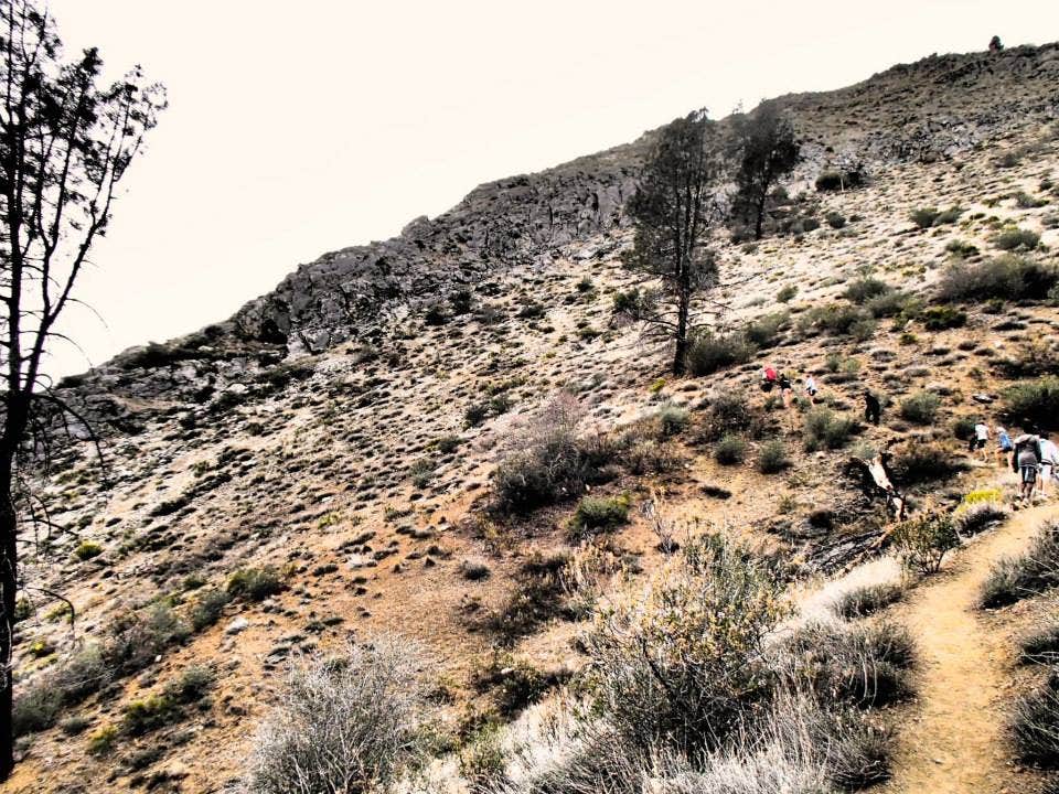 Camper-submitted photo at South Rincon Trail near Sequoia National Forest