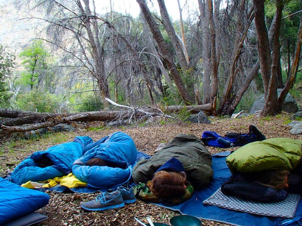 Camper-submitted photo at South Rincon Trail near Sequoia National Forest