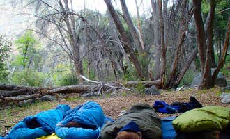 Camping near Lower Peppermint Campground: South Rincon Trail, Johnsondale, California