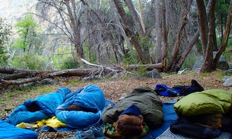 Camping near Limestone Campground: South Rincon Trail, Johnsondale, California