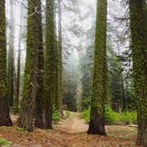 Review photo of Grover Hot Springs State Park Campground by Hayley K., March 24, 2019