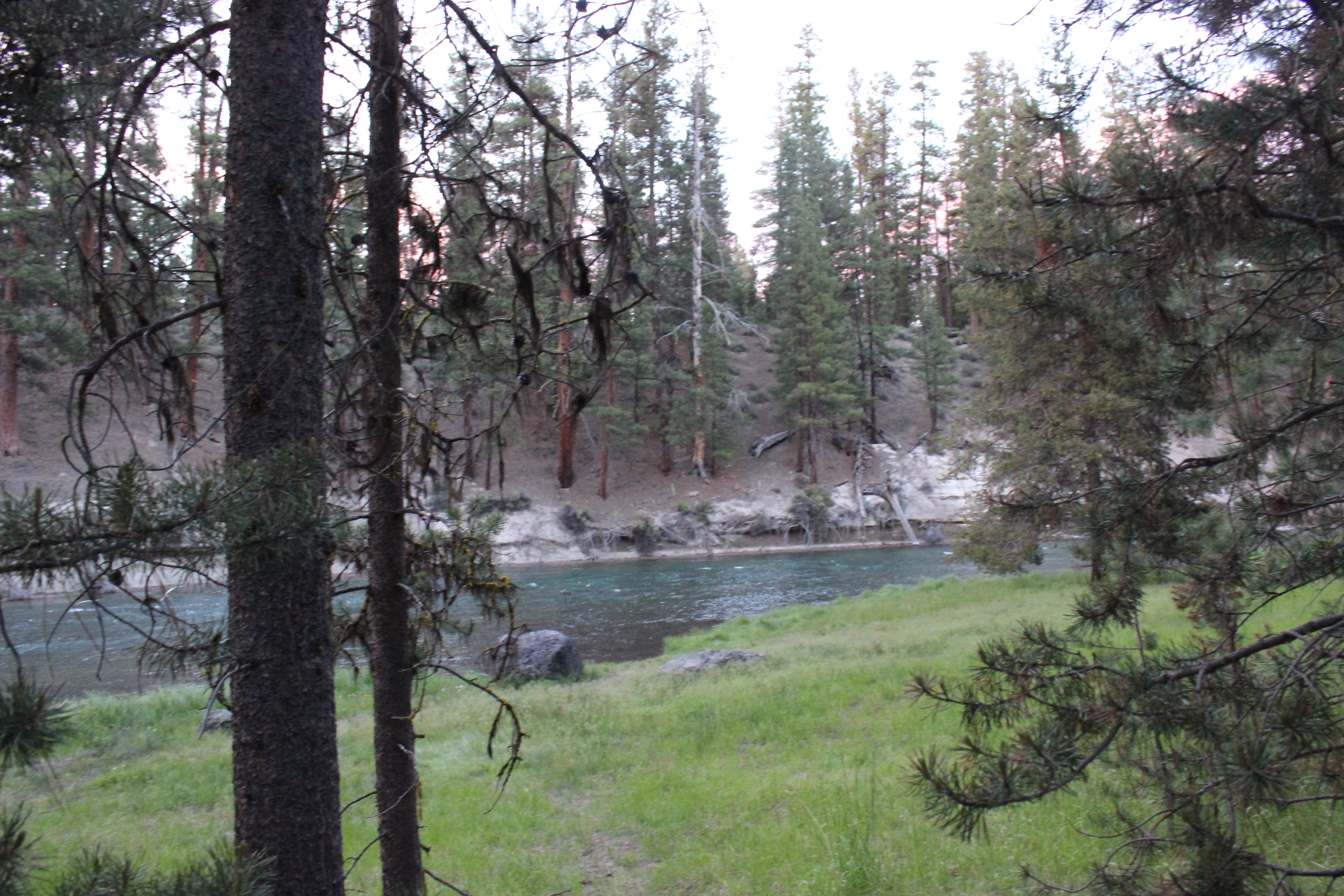 Camper submitted image from Pringle Falls Campground - 2
