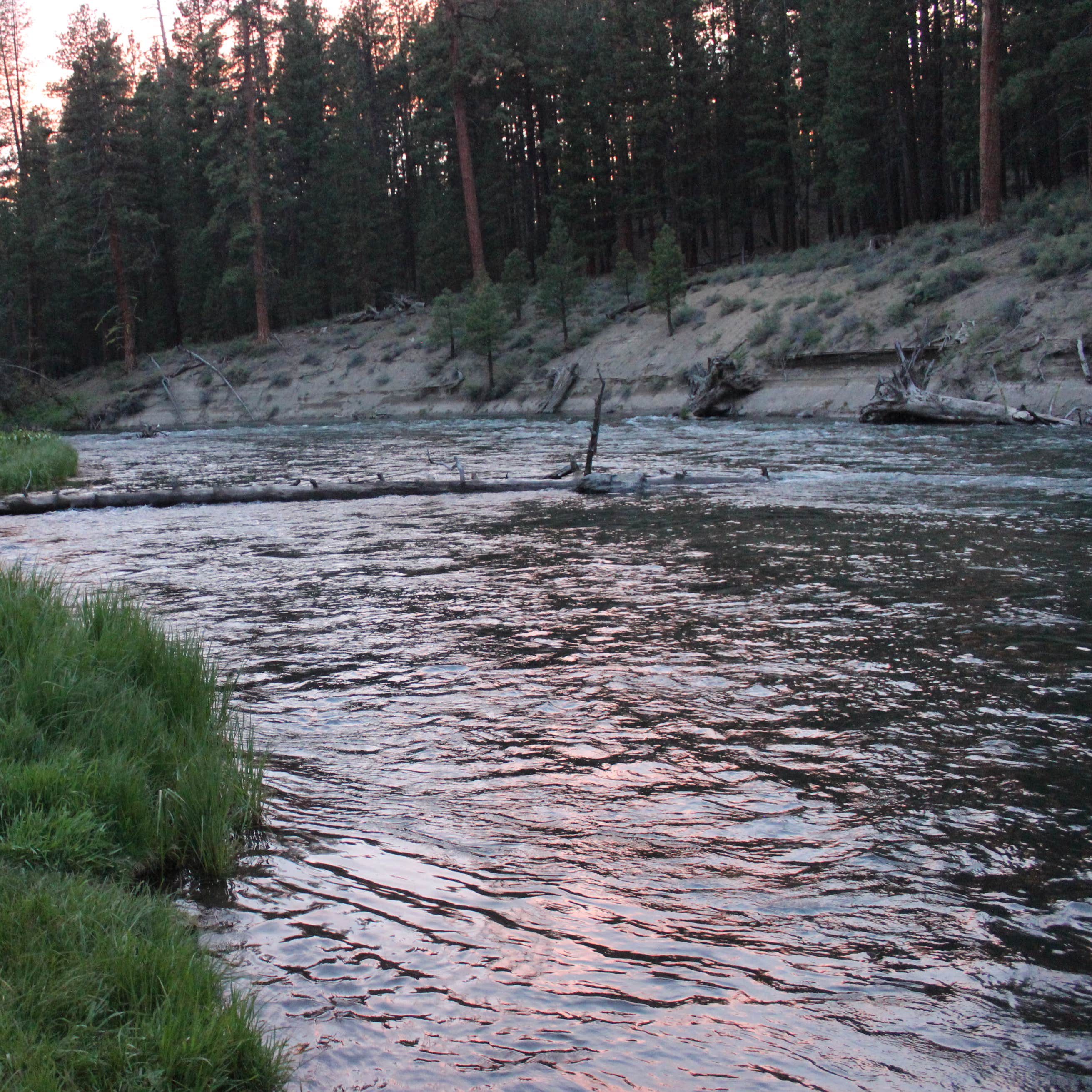 Why Timber Gulch Oregon Is A Must Visit – The Details You Need To Know The Shocking Truth Everyone Needs To Know - ru0ig9t