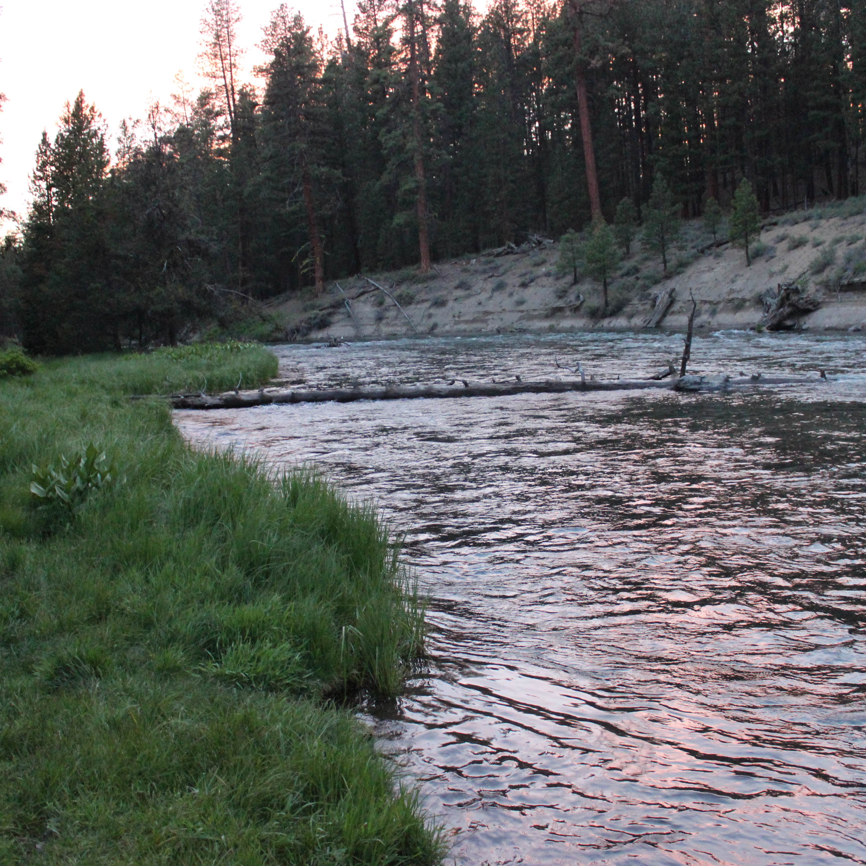 Escape To Enchantment: Your Guide To Pringle Falls Campground, Oregon