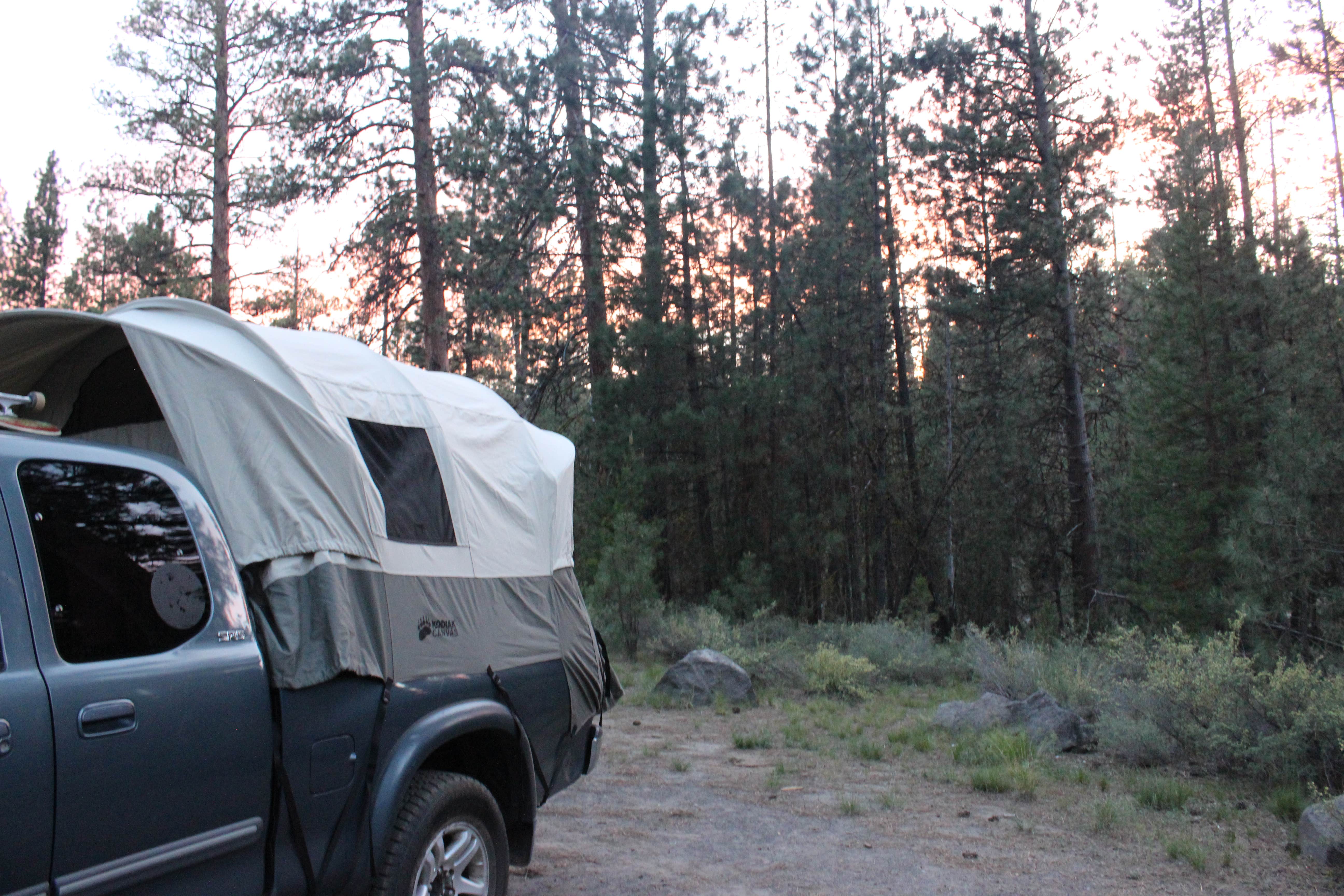 Camper submitted image from Pringle Falls Campground - 4