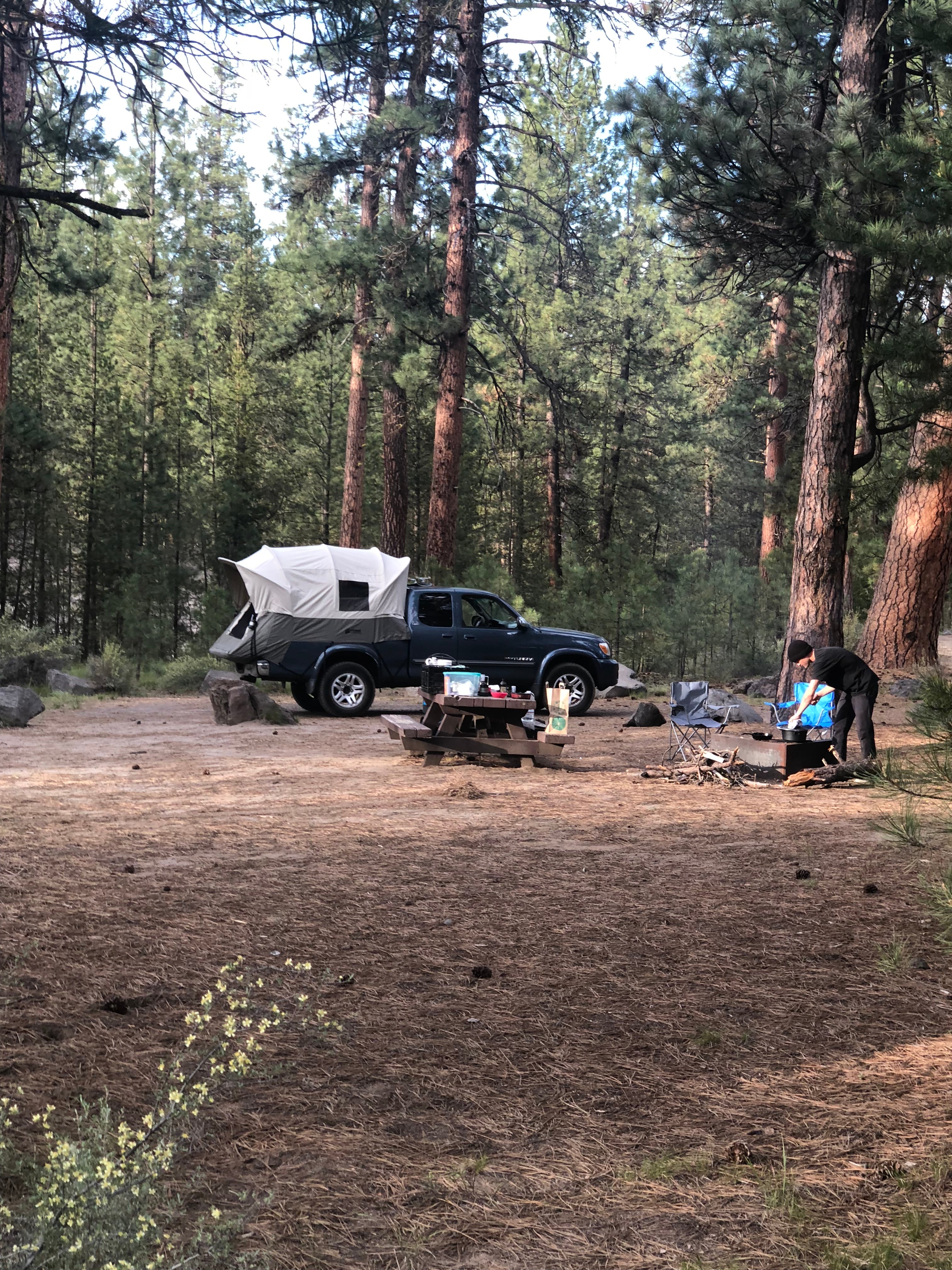 Camper submitted image from Pringle Falls Campground - 1
