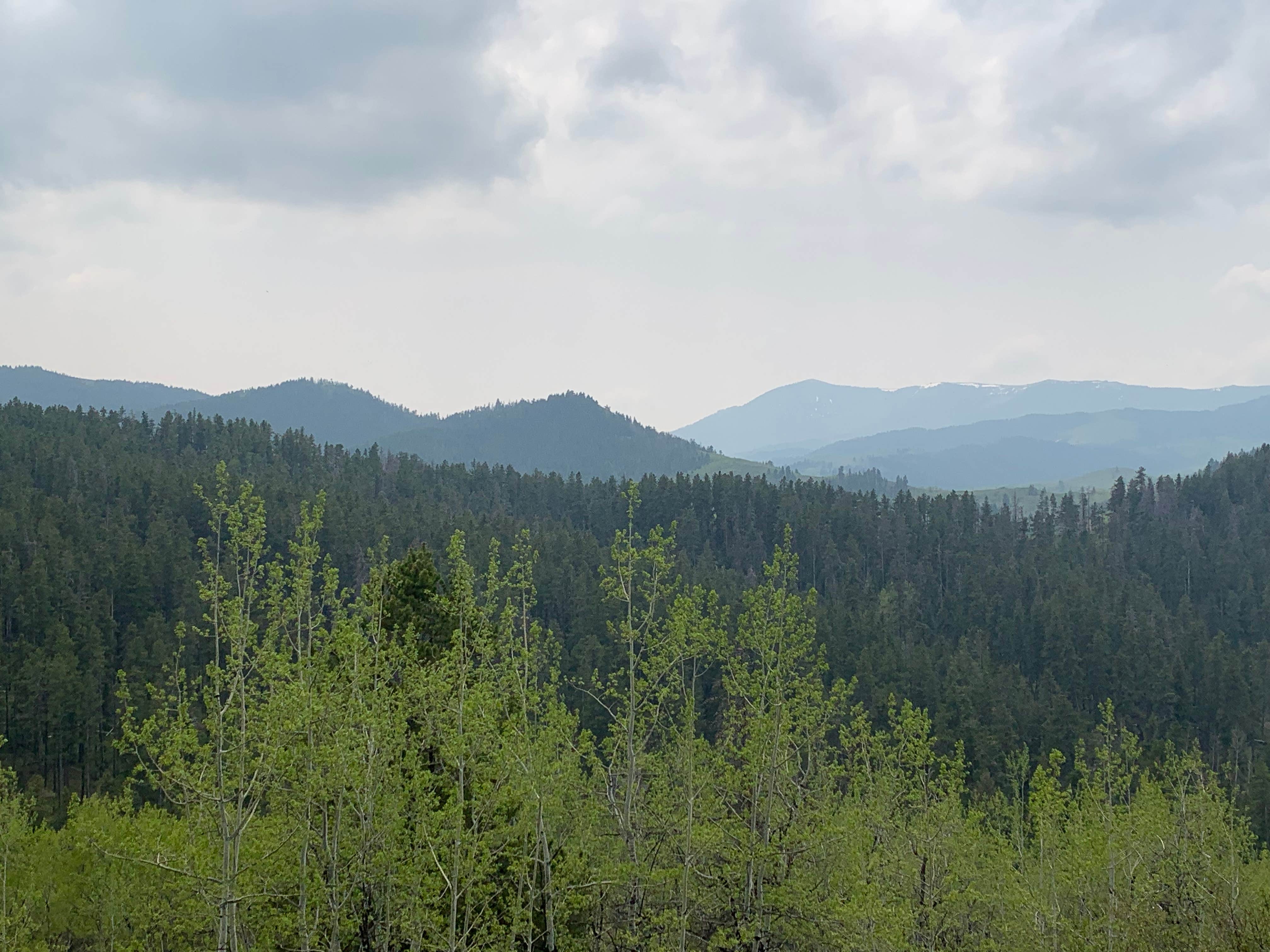 Camper-submitted photo at Thain Creek near Stanford, MT