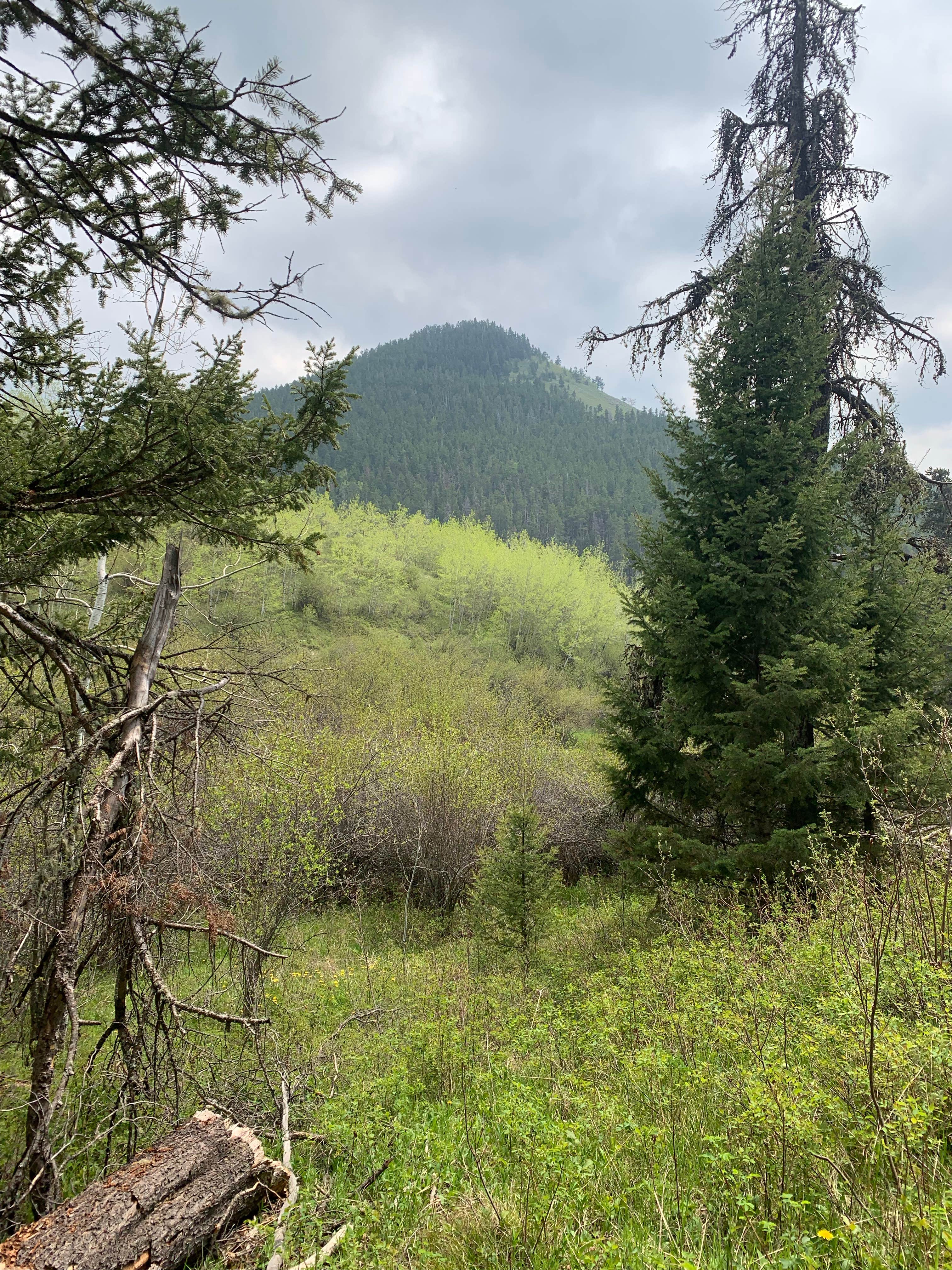 Camper-submitted photo at Thain Creek near Stanford, MT