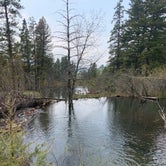 Review photo of Thain Creek by Tonya R., June 6, 2019