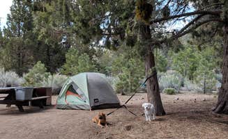 Genny C.'s photo at Serrano near Big Bear City, CA