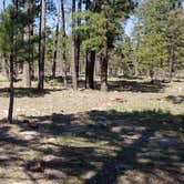 Review photo of Mogollon Campground by AJ A., June 7, 2019