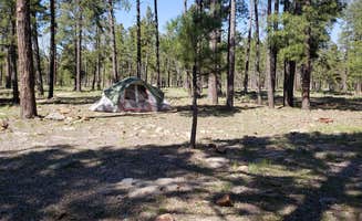 AJ A.'s photo at Mogollon Campground near Young, AZ