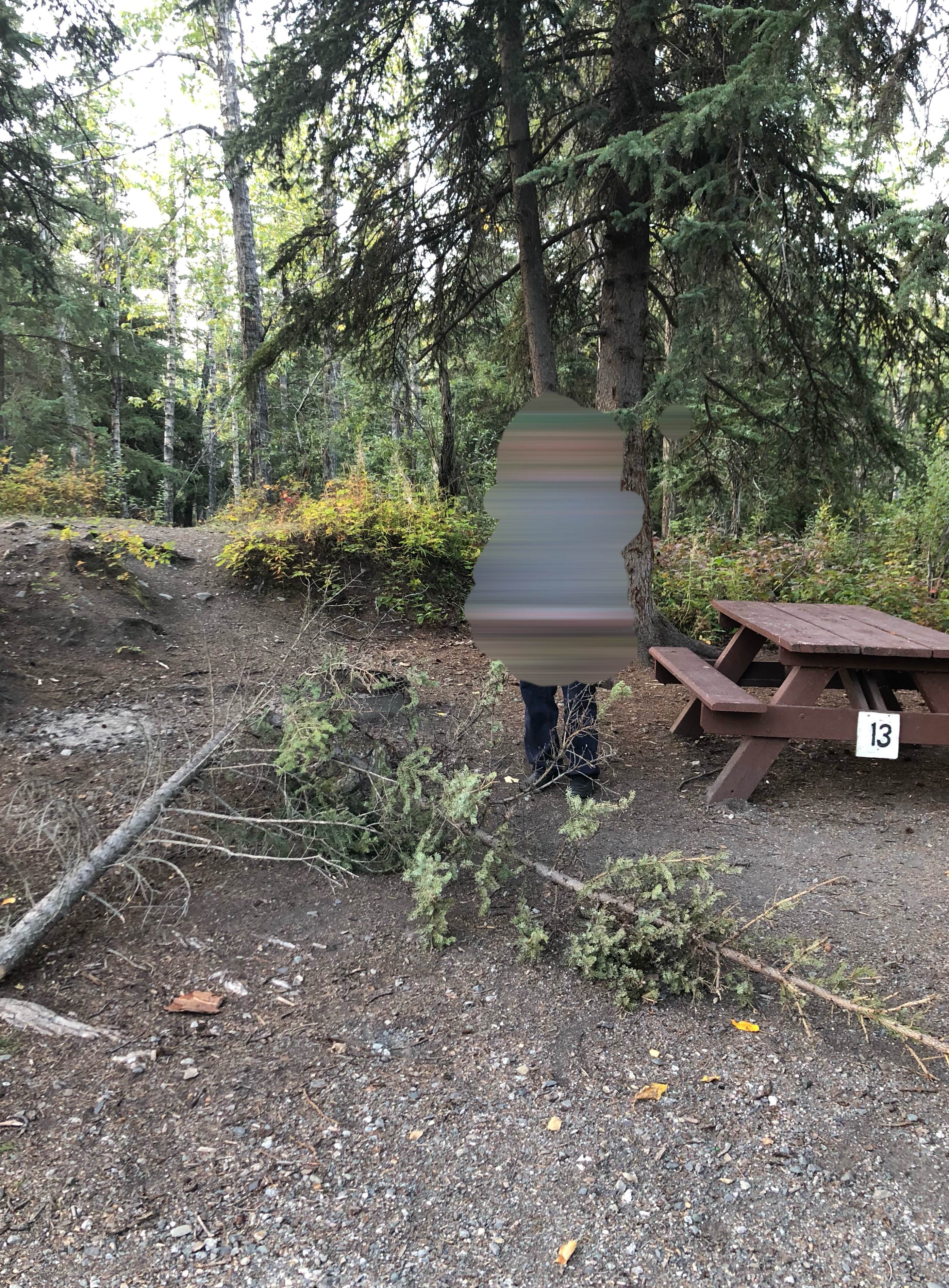 Camper-submitted photo at Squirrel Creek State Recreation Site near Chitina, AK