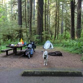 Review photo of Iron Creek Campground by Tyler D., June 7, 2019