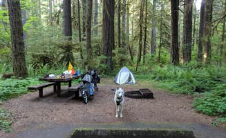 Tyler D.'s photo at Iron Creek Campground near Randle, WA
