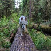 Review photo of Iron Creek Campground by Tyler D., June 7, 2019