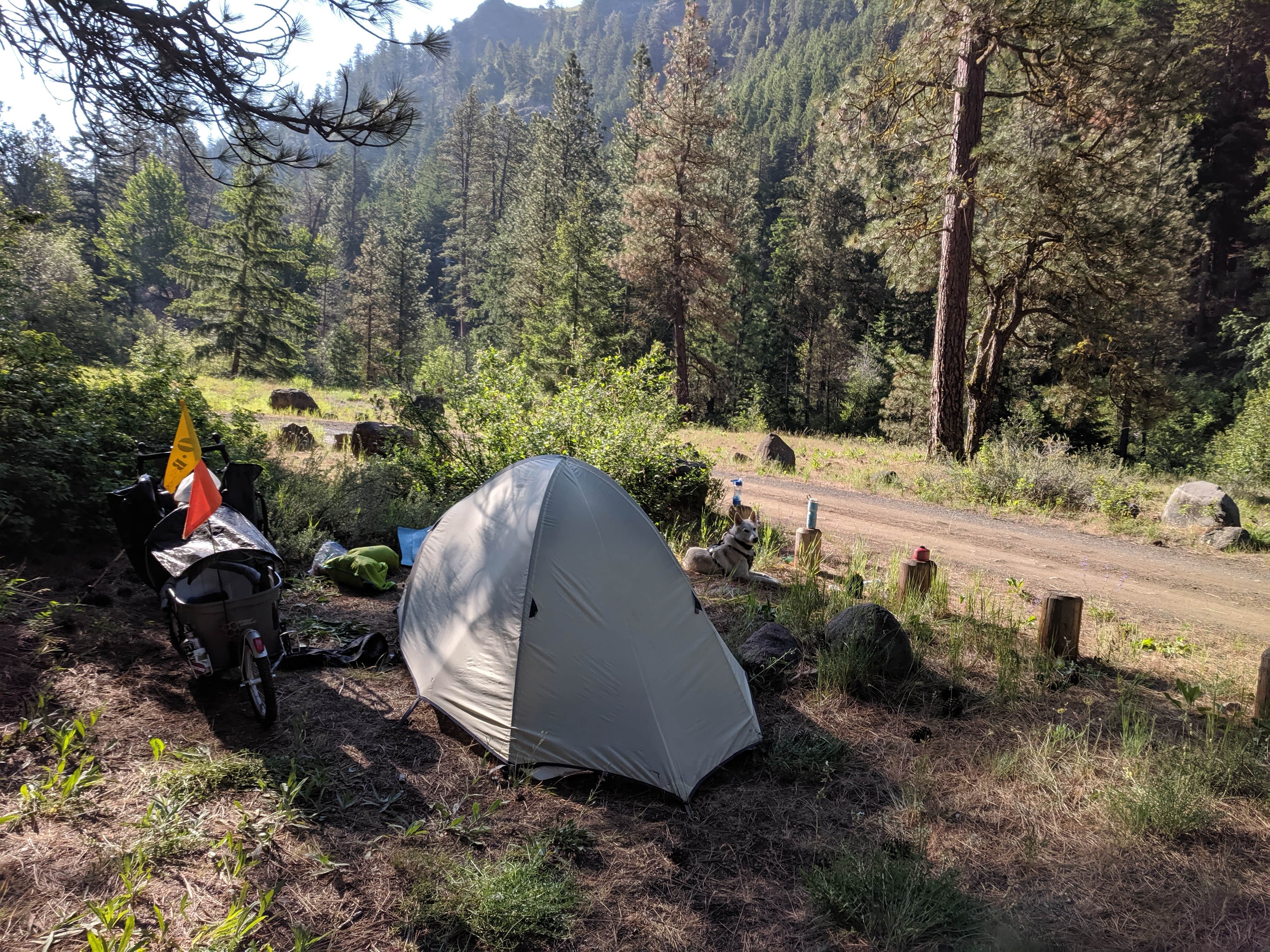 Tyler D.'s photo at Willows Campground near Toppenish, WA