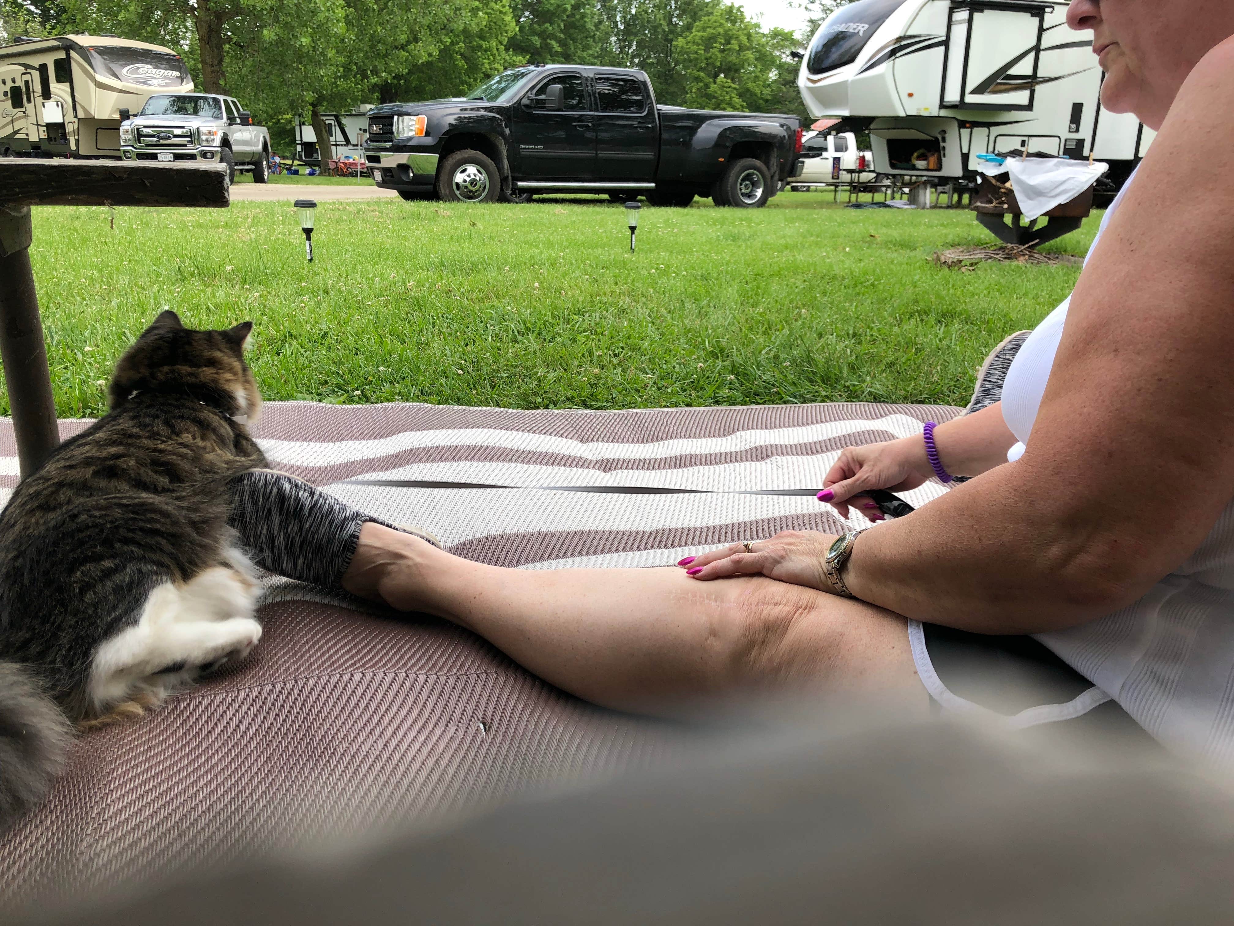 Greg S.'s photo of camping with pets at Sangchris Lake State Park Campground near Blue Mound, IL