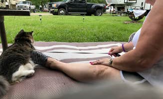 Greg S.'s photo of camping with pets at Sangchris Lake State Park Campground near Carlinville, IL