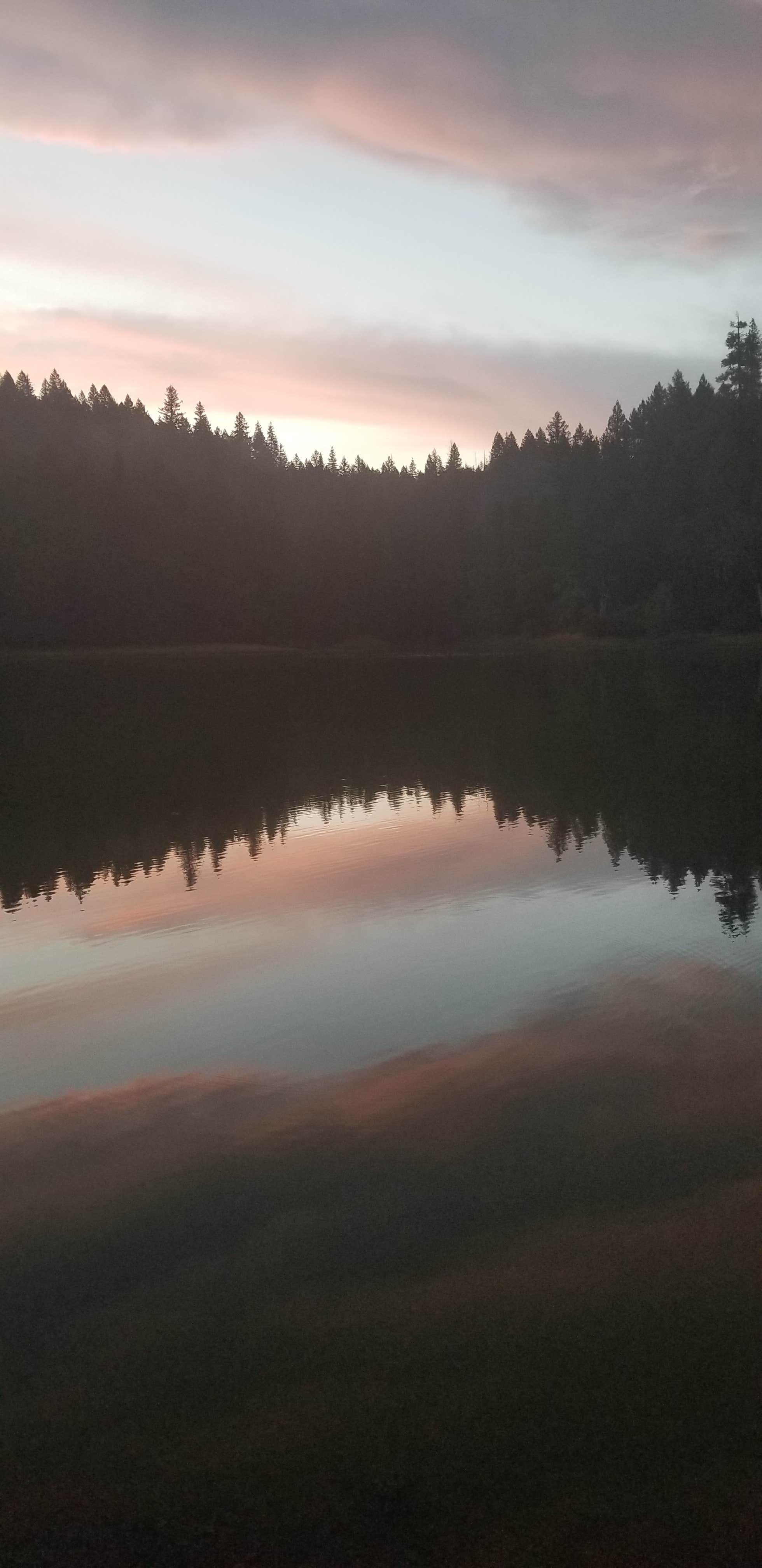 Camper-submitted photo at Boy Scout Cove Campground near Hayfork, CA
