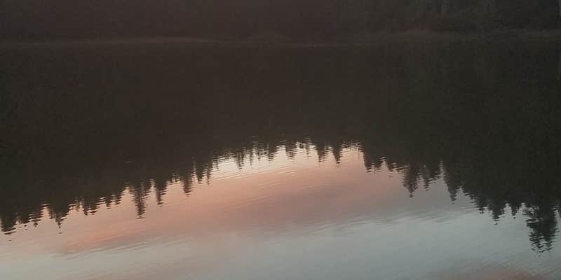 Camper submitted image from Boy Scout Cove Campground