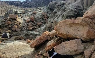 Amber D.'s photo of camping with pets at Ricardo Campground — Red Rock Canyon State Park near Mojave, CA