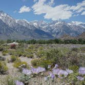 Review photo of Alabama Hills Recreation Area by Amber D., June 7, 2019