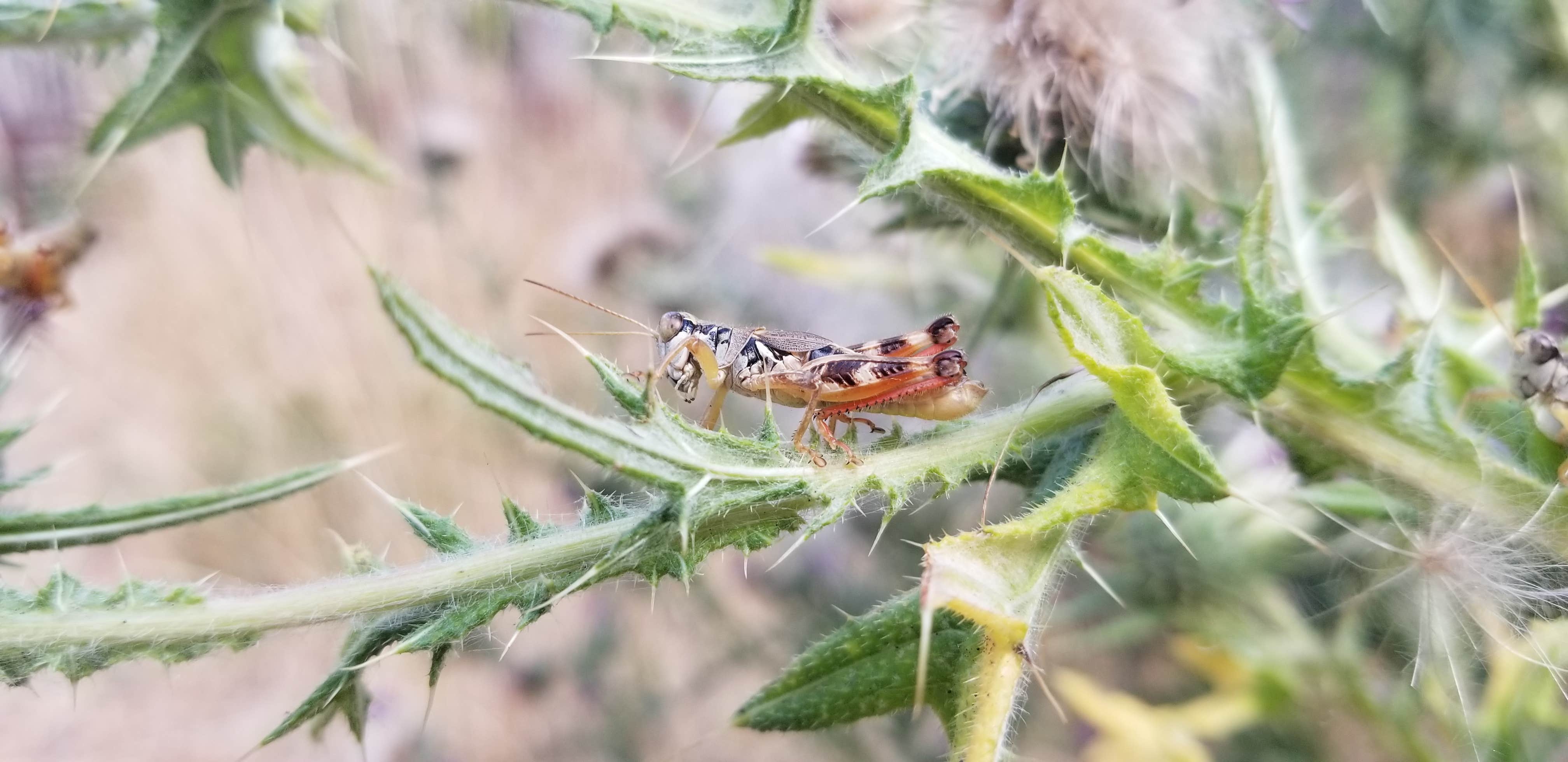 Camper-submitted photo at Grider Creek Campground near Seiad Valley, CA
