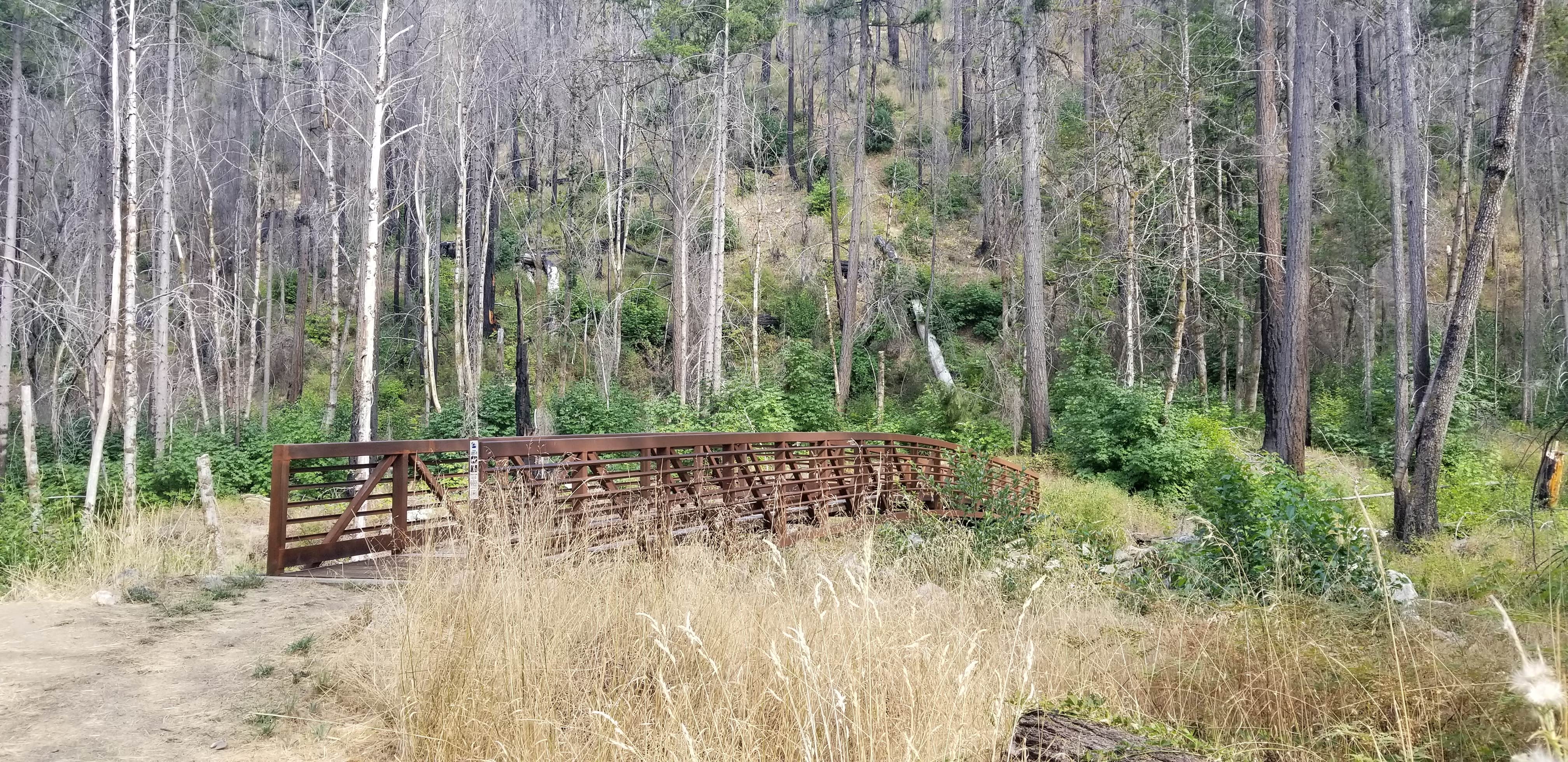 Camper-submitted photo at Grider Creek Campground near Seiad Valley, CA